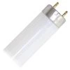 Philips Fluorescent Light Bulb (280925)