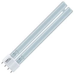 Philips Compact Fluorescent Light Bulb (130351)